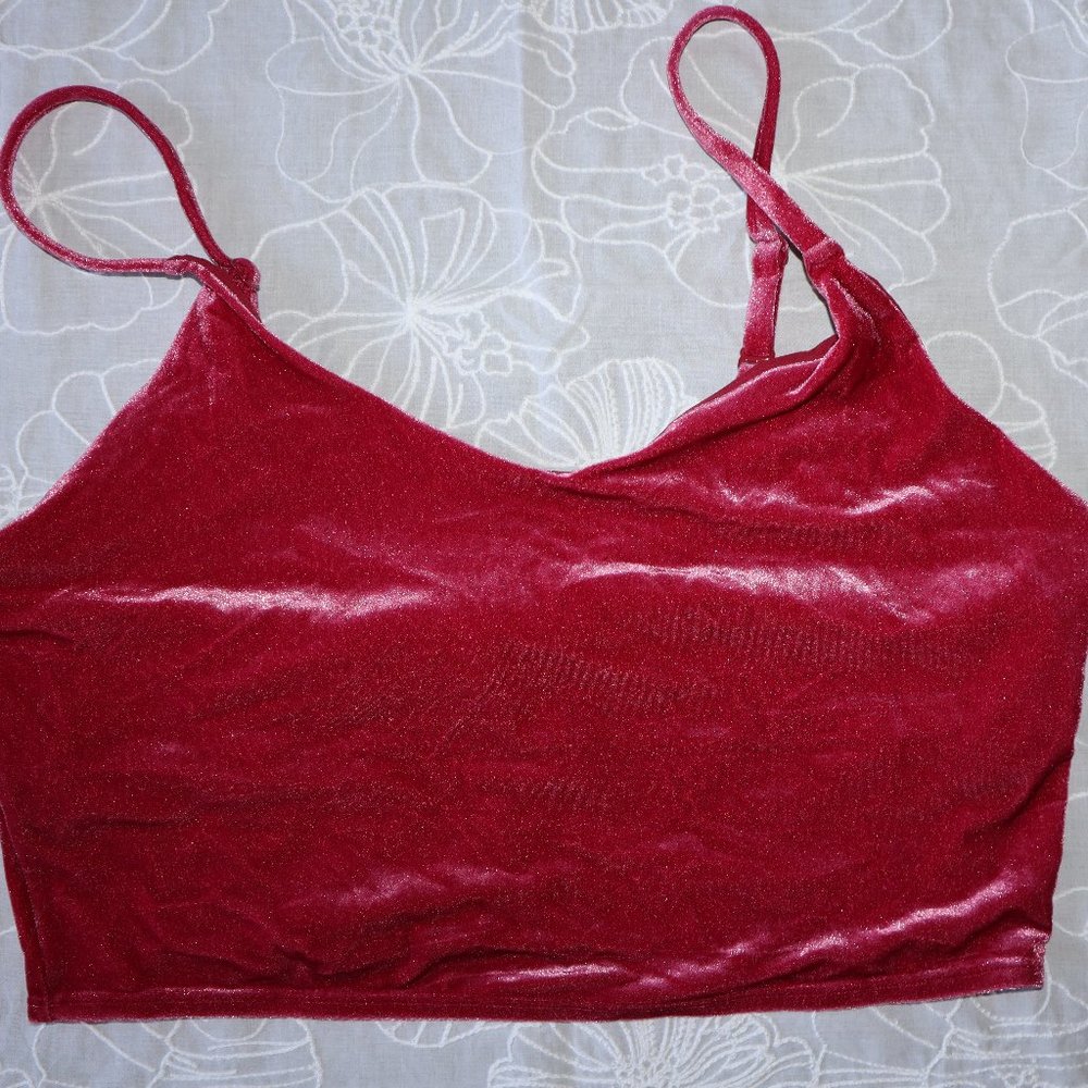 NWOT Elation V-Neck Pink Velvet Crop A-C